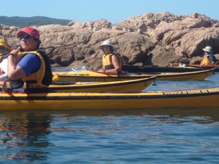  Excursiones en kayak 